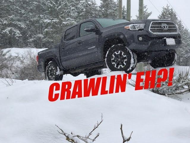 CRAWL CONTROL WORKED! | 2017 Tacoma TRD OffRoad