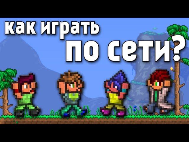 Как играть ПО СЕТИ в ТЕРРАРИЮ 1.3.5? 3 способа!