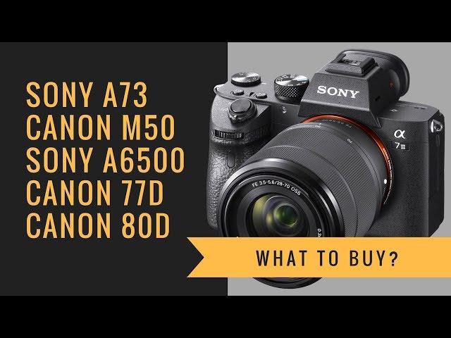 Sony a7 III vs Canon M50 vs Sony a6500 vs Canon 77D 80D - What to BUY?