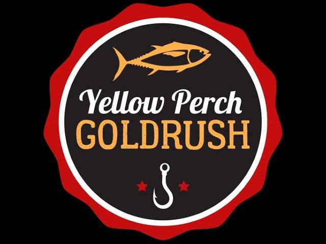 Fishing planet PS4 #  Охота на золотую рыбку - Yellow Perch Gold Rush