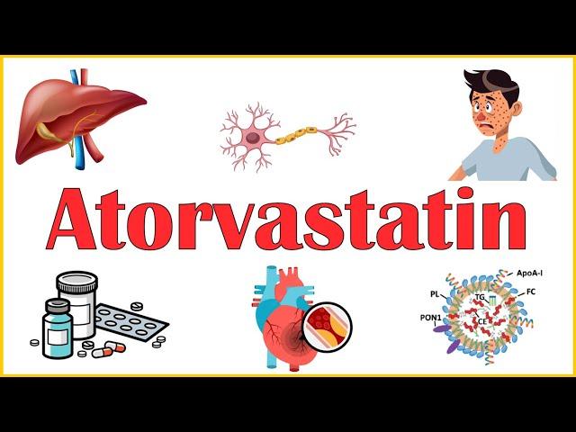 Atorvastatin :- Everything You Need To Know |Mechanism Of Action, Adverse Effects & Indications