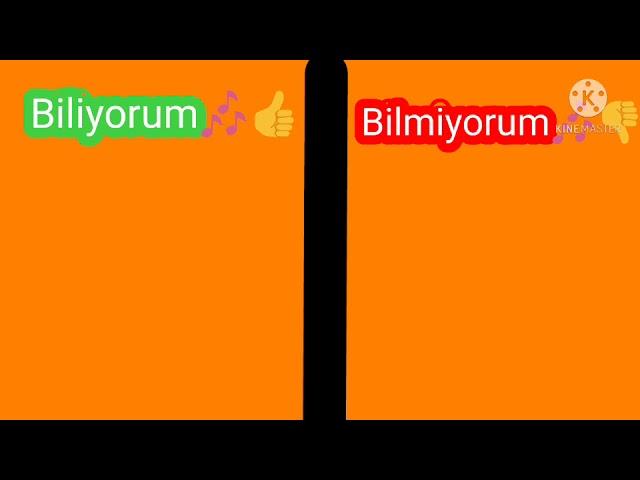 Biliyorum Bilmiyorum (Türkçe Şarkılar)