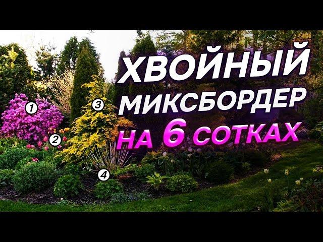 29 хвойных для 6 СОТОК: в чем СЕКРЕТ гармоничных композиций?