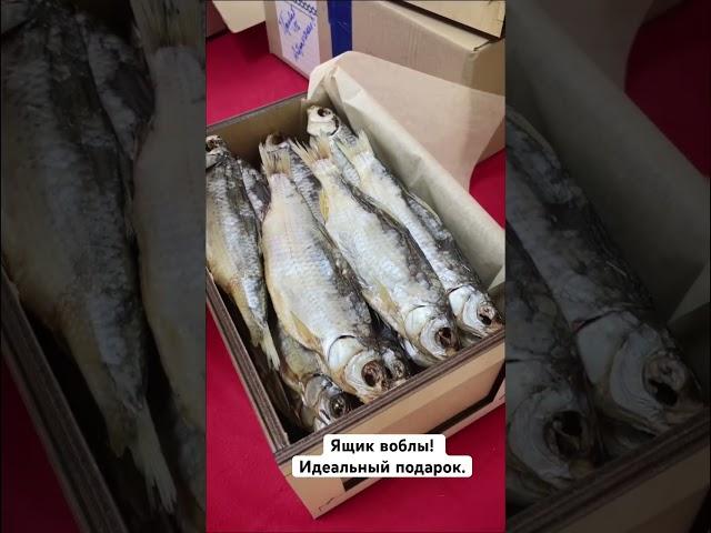Идеально! #астрахань #волга #осень2023