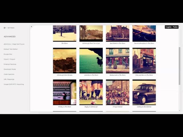How to install the Multilingualizer on a squarespace website