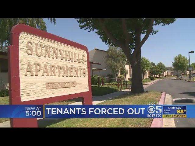 Hundreds At Milpitas Apartment Complex Set For Eviction