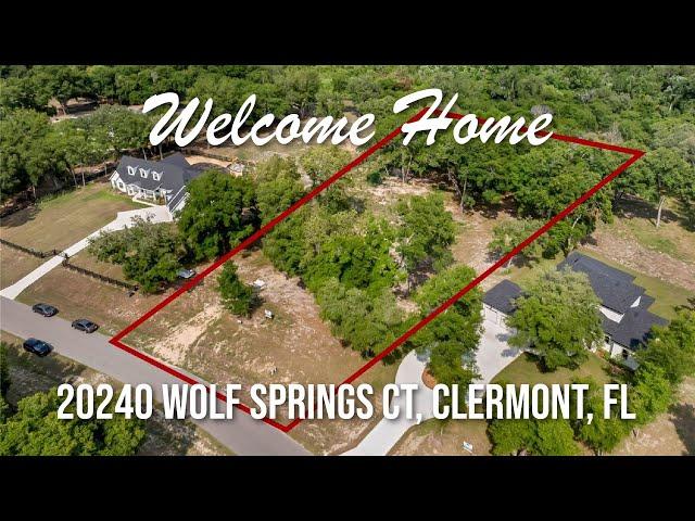 Homes for sale in Clermont FL: Home for sale at 20240 Wolf Springs Court Clermont FL 34715