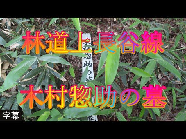 アジサイの咲く頃 6月7日 土曜 晴れ 梅雨 美しい緑 林道上長谷線 木村惣助の墓 日本 鳥取県西伯郡南部町能竹 南部町西伯カントリーパーク @WalkingYoshi