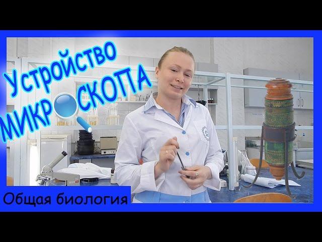 Строение микроскопа.