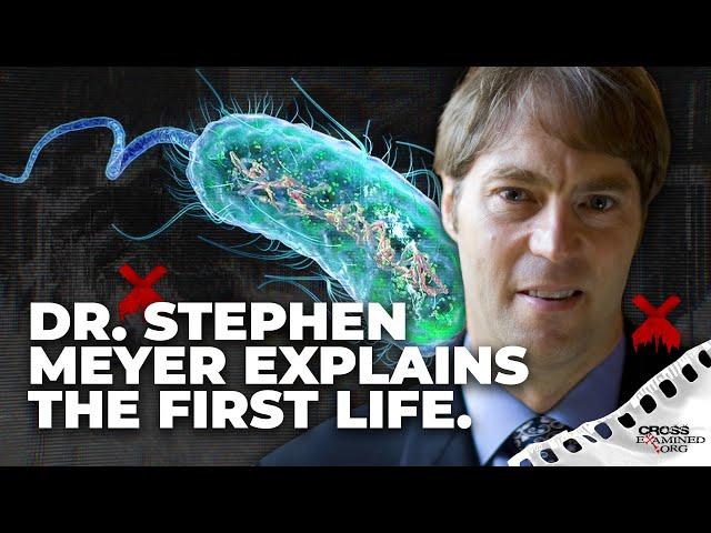 The first life and irreducible complexity with Stephen Meyer