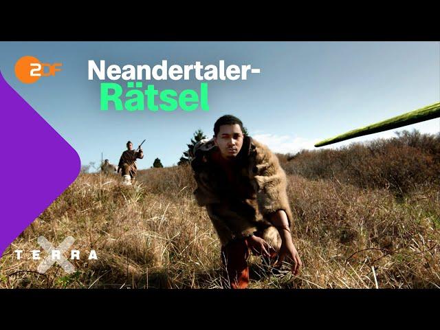 So starben die Neandertaler aus | Terra X plus