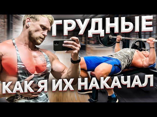 КАК НАКАЧАТЬ ГРУДЬ. ТОП УПРАЖНЕНИЯ. Что вам нужно знать!