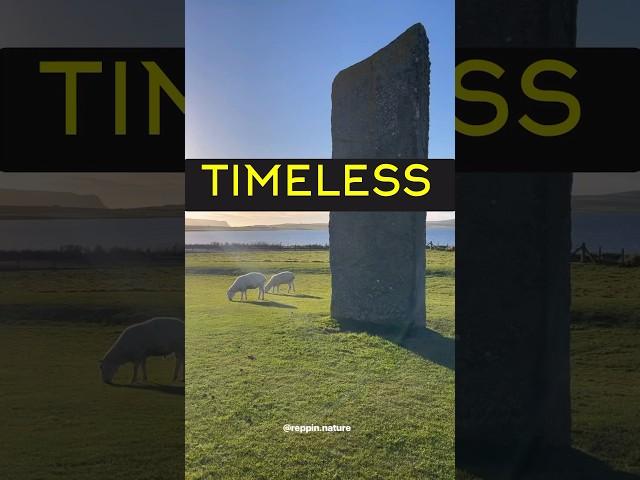 Connecting with my ancestors at the incredible Standing Stones of Stenness on Orkney!!