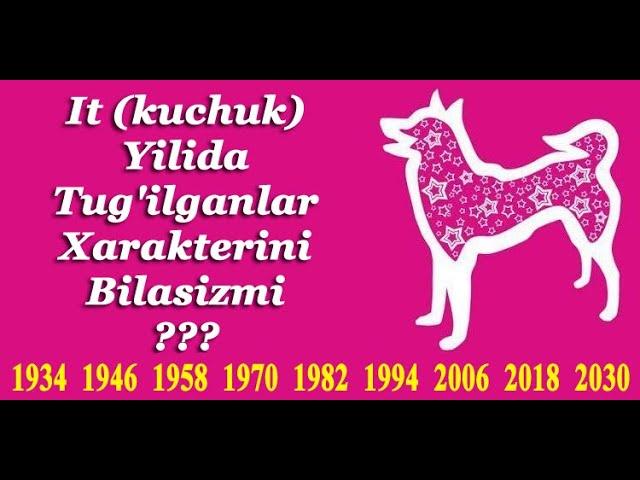 It Kuchuk Yilida Tug’ilganlar Xarakterini bilib olamiz - It Kuchuk muchalida tug'ilganlar haqida !!!