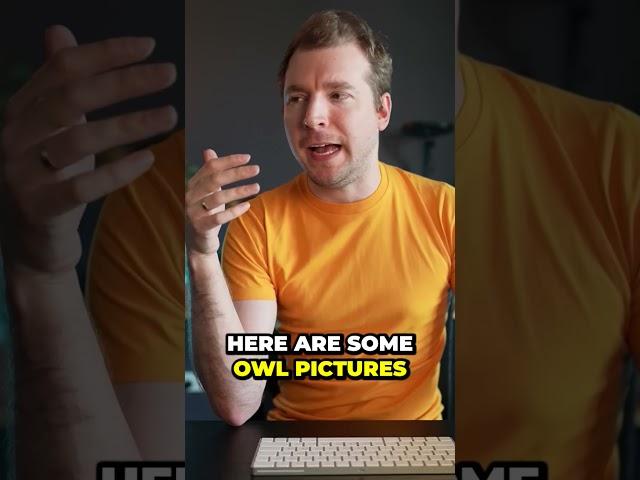 Midjourney, the AI image generator app that's ruling the world.