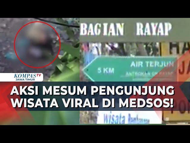 Viral! Video Mesum Pengunjung Wisata Air Terjun Rayap di Jember Resahkan Warga