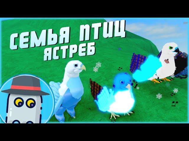 ЯСТРЕБ(ОБНОВЛЕНИЕ, 2022) СЕМЬЯ ПТИЦ РОБЛОКС HAWKFEATHER FAMILY UPDATE 2022ROBLOX