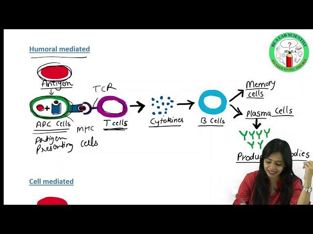 Antigen PART I | Types of Antigens | Immunogenicity | Antigenicity | Complete & Incomplete Antigens