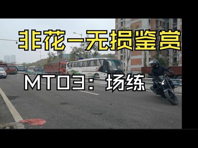 MT03：场练-老司机的自我修养  非花--无损鉴赏