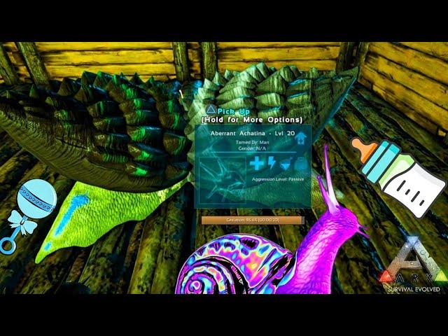 ARK: Survival Evolved Breeding Achatina, Cementing Paste