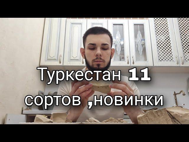 Все виды Туркестан | Новинки | Кудряшка | Шоколад | Пористый | Жёлтый | Глины | Меловой