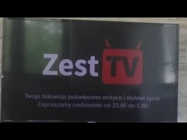 Zest TV.(1)