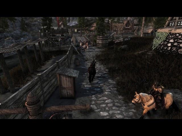 Immersive Horses