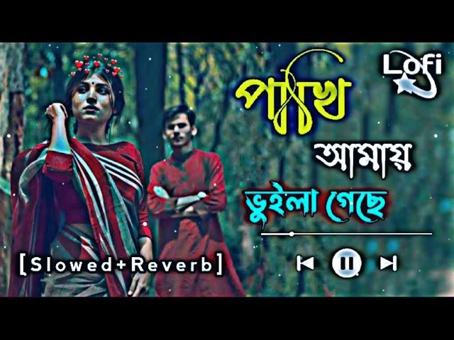 পাখি আমায় ভুইলা গেছে || The bird has forgotten me || [Slowed Reverb] Bangla Lo-fi Song 2023