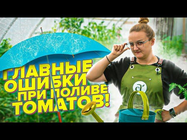 ПОЛИВАЙТЕ ТОМАТЫ ТАК! СОВЕТЫ