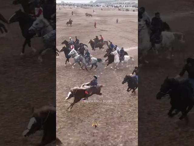 Раҳимбердӣ “МУЖДА” #buzkashi #horse #uloq #kupkari #rek #tajikistan #лошади #uzbekistan #horseriding