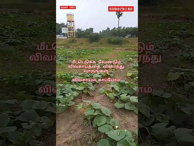  விவசாயம் காப்போம்  #shorts #viral #trending #viralvideo #farming @hanbuinfo5184 #farmer