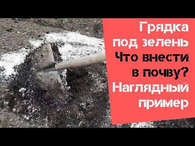 Грядка под зелень / Что внести в почву / Наглядный пример простой и быстрой подготовки грядки