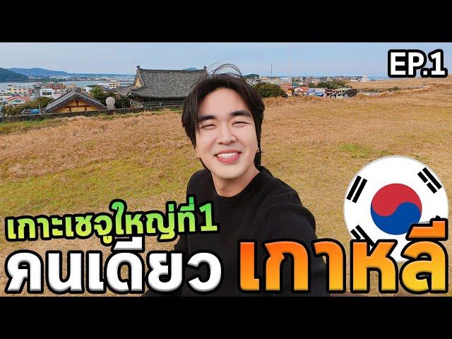 เที่ยวเกาหลีโนแพลนเช่ารถขับเกาะเชจูครั้งแรก!!! หนาวมาก...