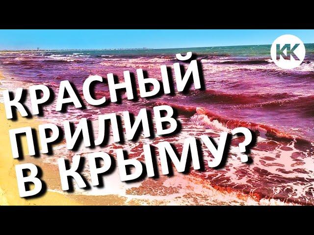 КРАСНЫЙ ПРИЛИВ в Крыму? НЕРЕАЛЬНОЕ цветение моря. Опасное явление? Капитан Крым