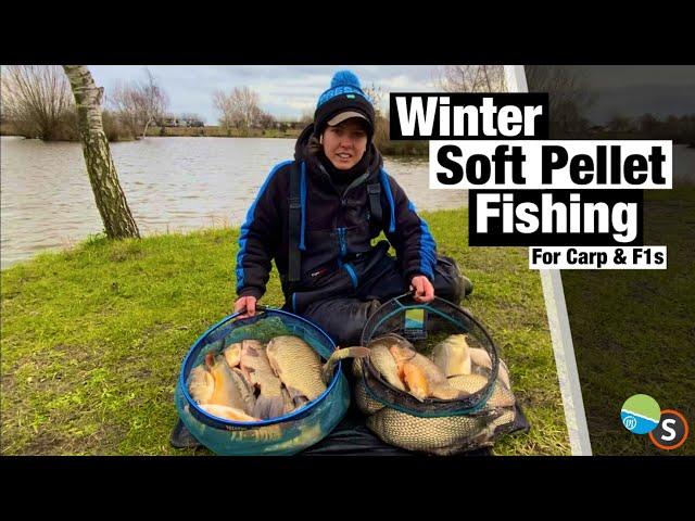 Soft Pellet Fishing For Carp & F1s In Winter - Lindholme Lakes