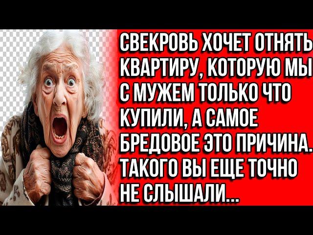 Свекровь хочет отнять квартиру, которую мы с мужем только что купили, а самое бредовое это причина..