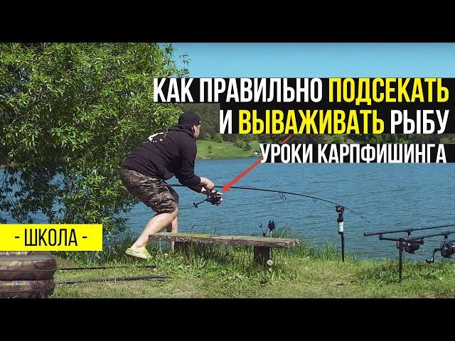 Как правильно ПОДСЕКАТЬ и ВЫВАЖИВАТЬ рыбу. Уроки КАРПФИШИНГА