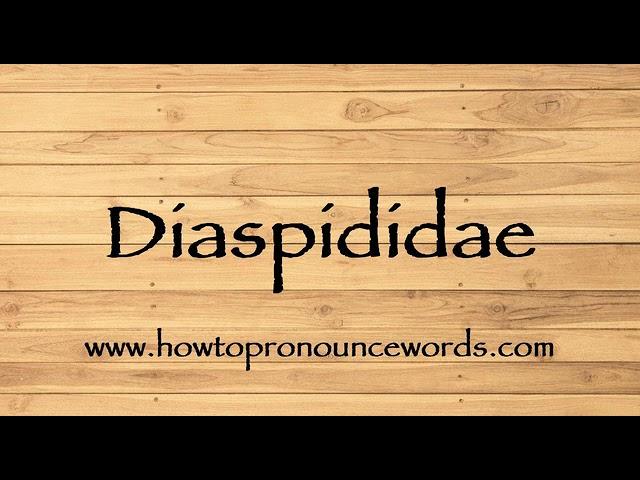 How To Pronounce Diaspididae ? How To say Diaspididae New Video