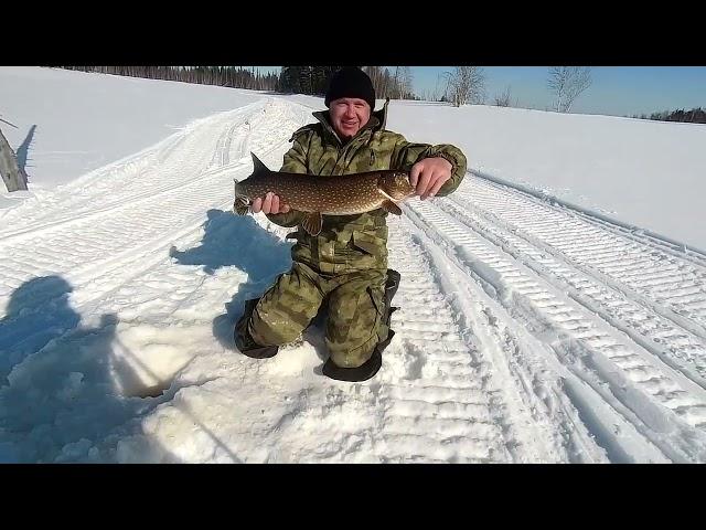 рыбалка на щуку и окуня 31 03 2023