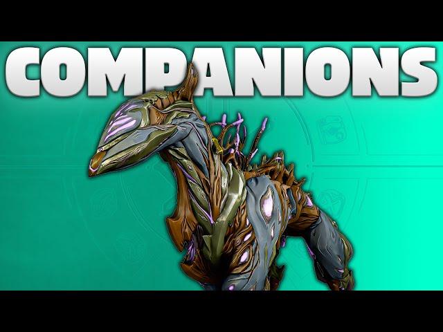 Testing out Companions after the Rework!