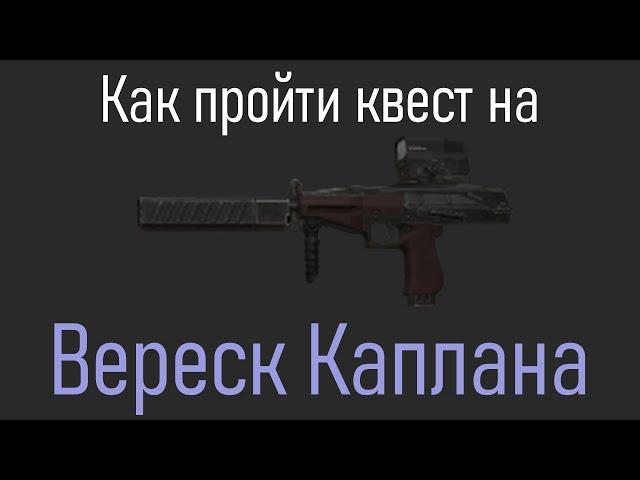 Квест на Вереск Каплана ️STALCRAFT ПРАВИЛЬНОЕ ПРОХОЖДЕНИЕ