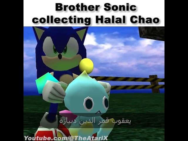 Sonic's halal collection #sonic #memes