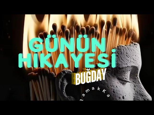 Günün Hikayesi Bugday - Seyyar Radyo #hikaye #gününhikayesi #buğday #şiir