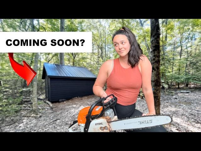 A New Build? Big Plans for Our Homestead