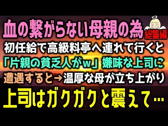 【感動する話】親孝行で母と高級料亭へ。偶然、居合わせた俺の嫌味な上司が「片親の貧乏人」と言った→次の瞬間、いつも温厚な母に上司は顎ガクガクさせた理由（泣ける話）感動ストーリー朗読 総集編