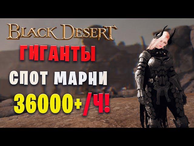 Гиганты спот марни 36000+ | Страж в Наследии| Giants Guardian! (Black Desert)