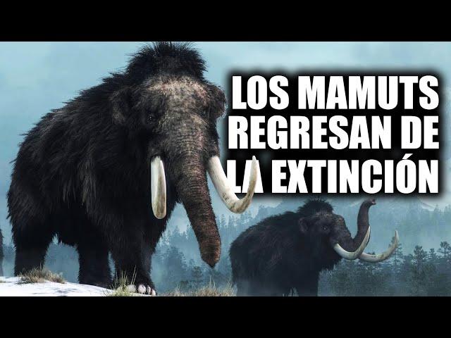 Noticia de ÚLTIMA HORA! Podrían REGRESAR a LA VIDA al MAMUT LANUDO!