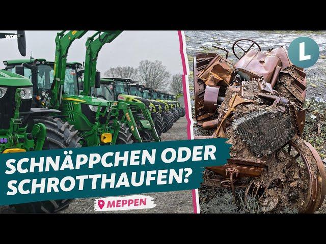 Trecker-Auktion: So kauft ihr gute gebrauchte Landmaschinen | WDR Lokalzeit Land.Schafft.