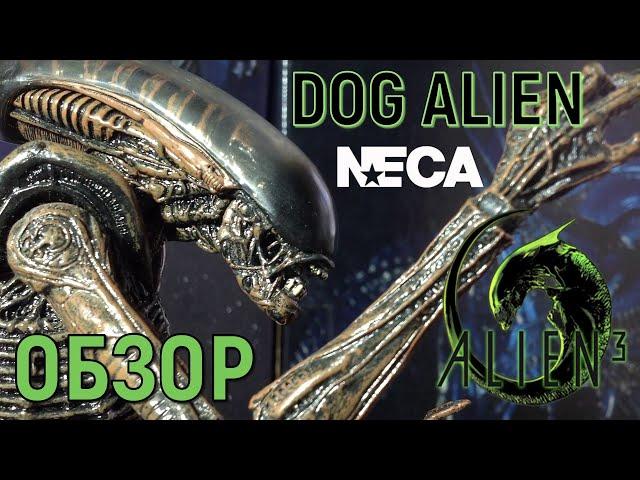 Обзор Фигурки ЧУЖОЙ Бегун / Dog Alien от NECA (Neca Dog Alien Action Figure review)