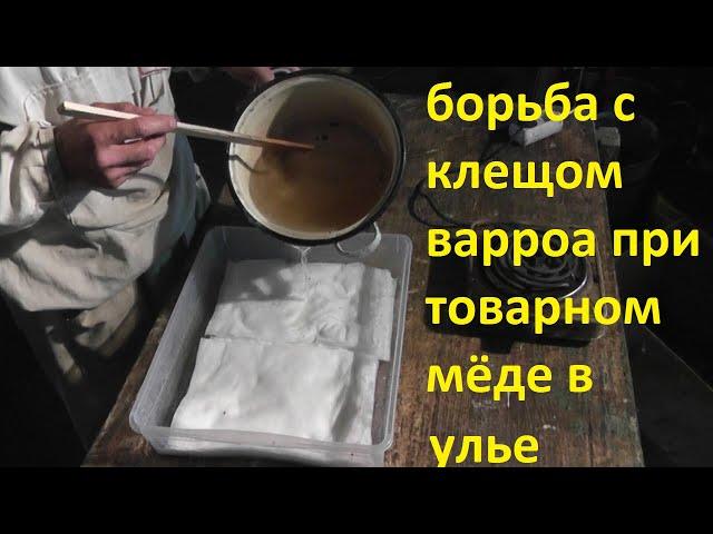 рецепт раствора щавелевой кислоты для полотенец от клеща